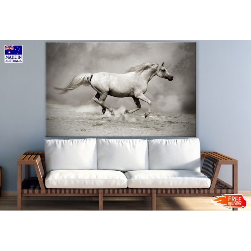 Running Horse B&W Photograph Print 100% Australian Made