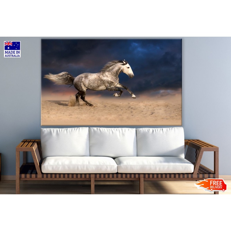 Running Horse Photograph Print 100% Australian Made