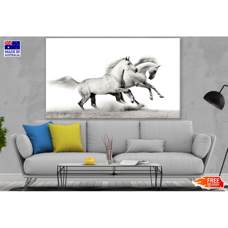 Running Horses B&W Photograph Print 100% Australian Made