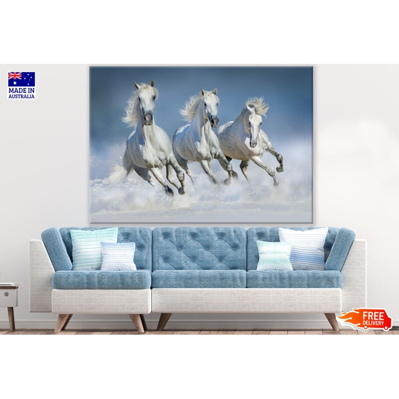 Running Three Horses Photograph Print 100% Australian Made