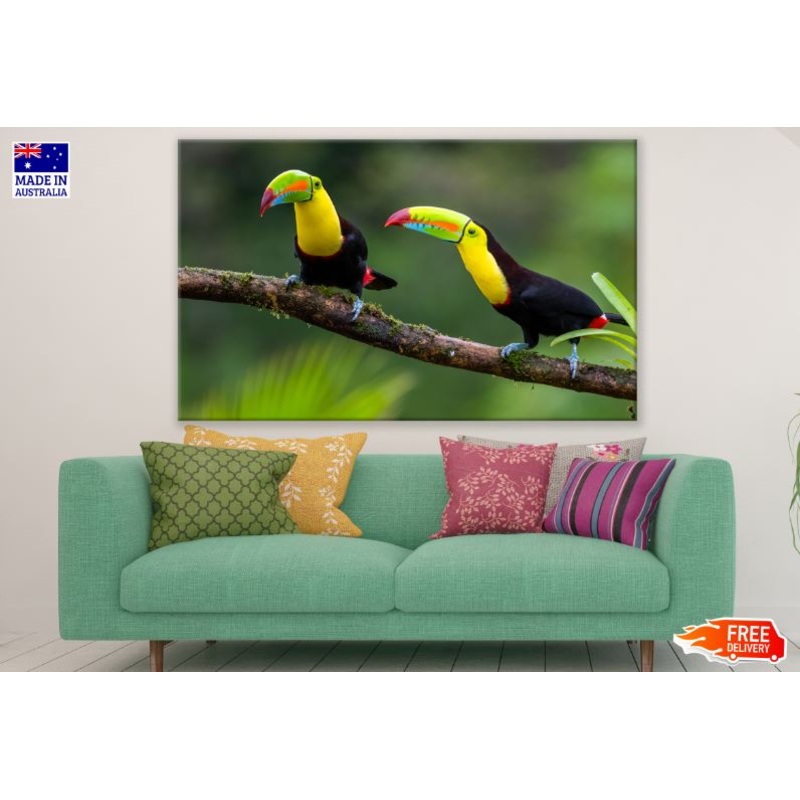 Toucan Birds Sitting on a Tree Branch Photograph Print 100% Australian Made