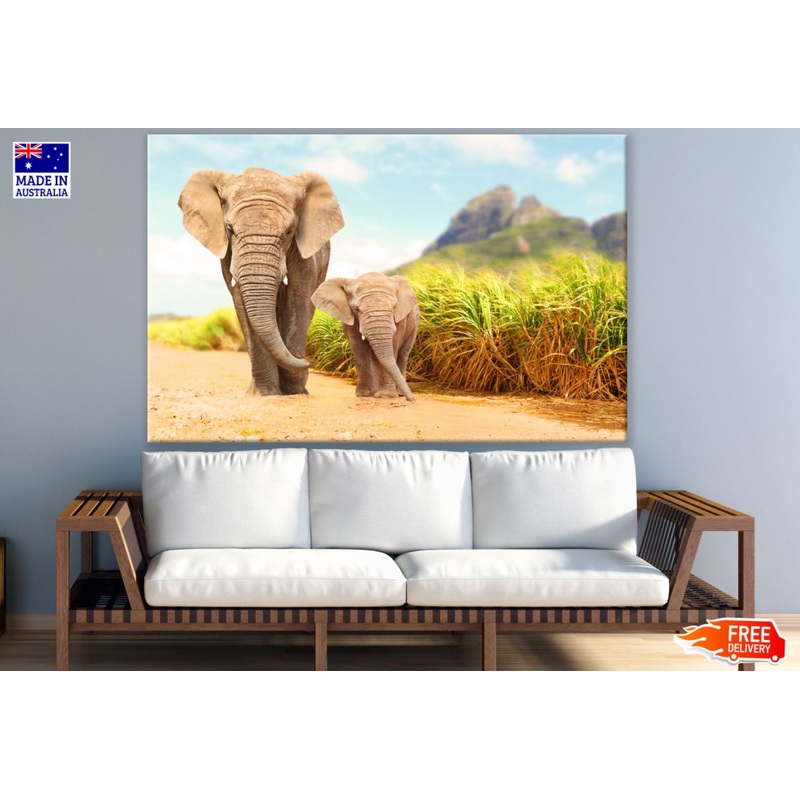 Walking Elephant & Baby Photograph Print 100% Australian Made
