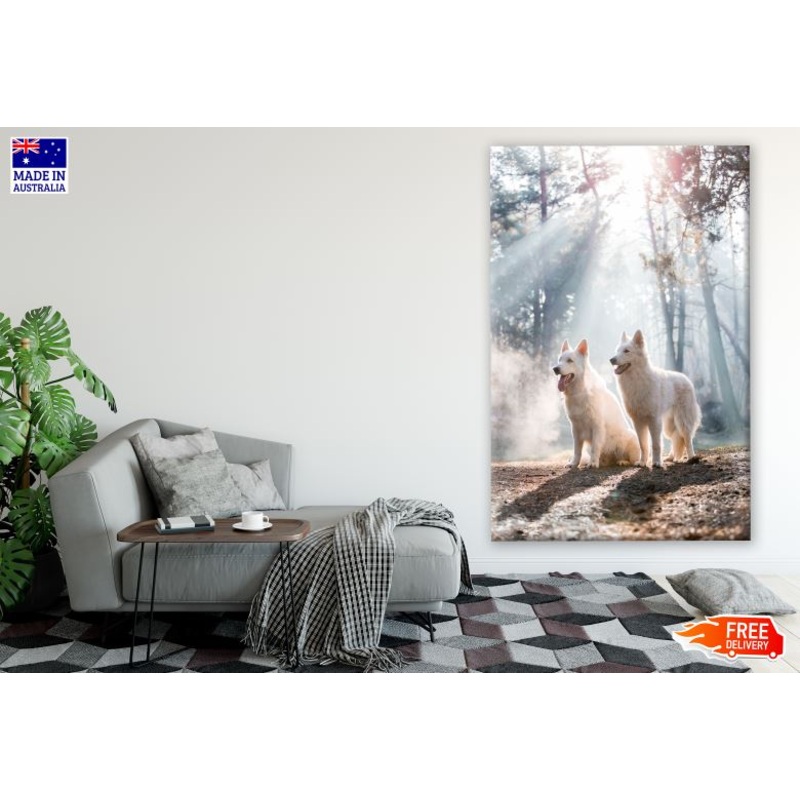 White Dogs in Forest Photograph Print 100% Australian Made