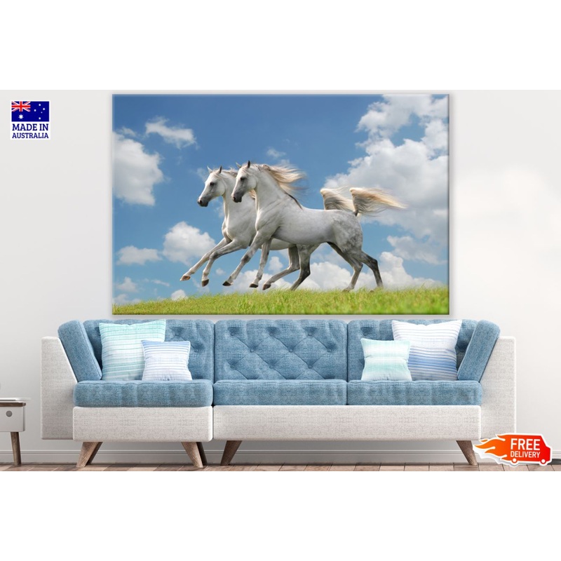 White Horses Running on Meadow Photograph Print 100% Australian Made
