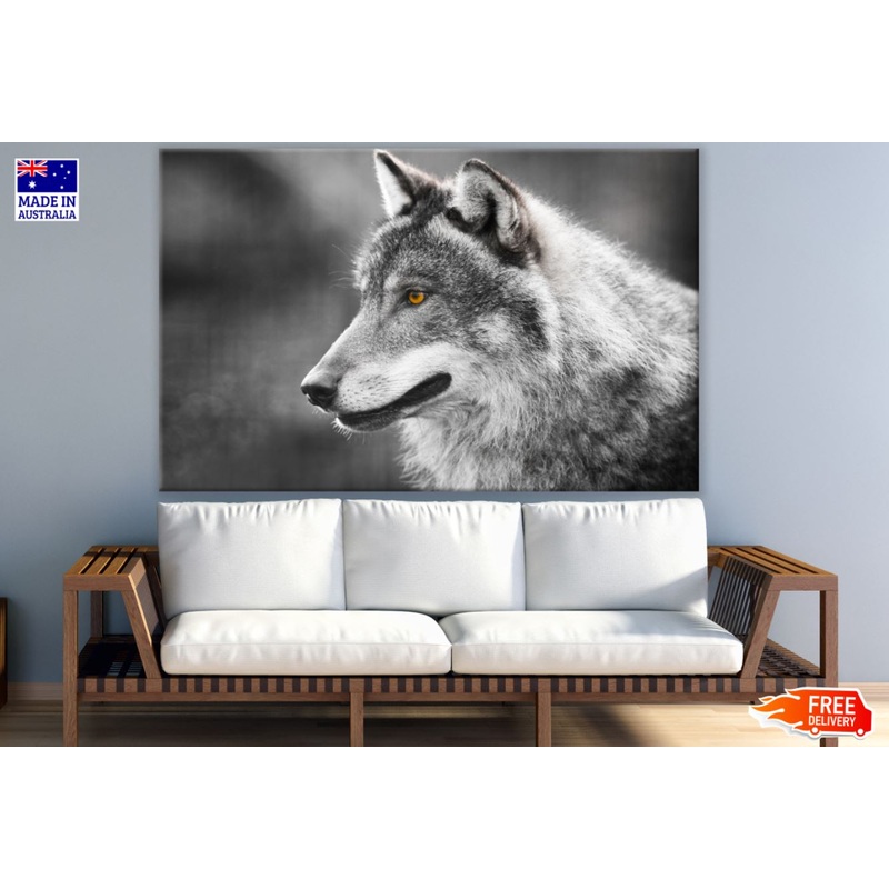 Wolf Portrait B&W Photograph Print 100% Australian Made