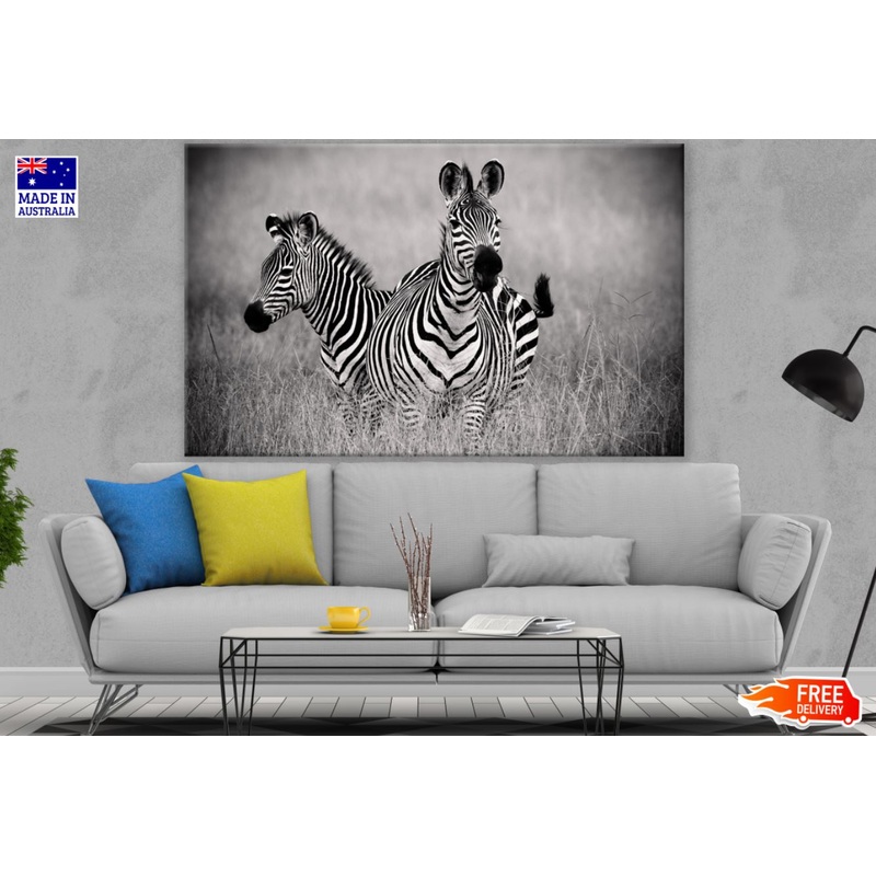 Zebras B&W Photograph Print 100% Australian Made