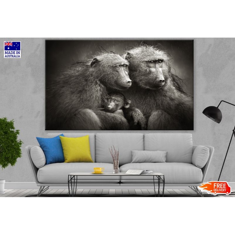 Baboons Couple & Baby B&W Photograph Print 100% Australian Made