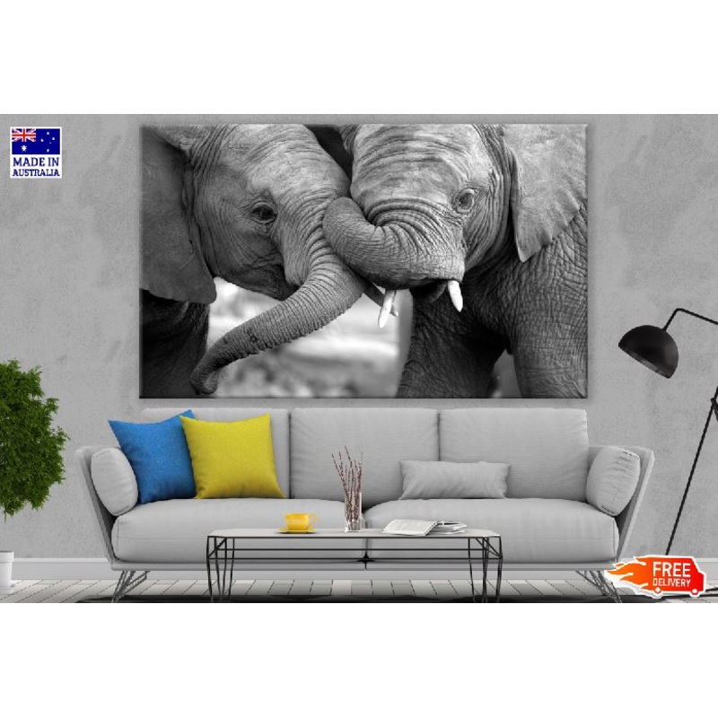 Baby Elephants Portrait B&W Photograph Print 100% Australian Made