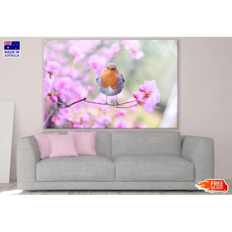 Beautiful Bird on a Flower Tree Photograph Print 100% Australian Made