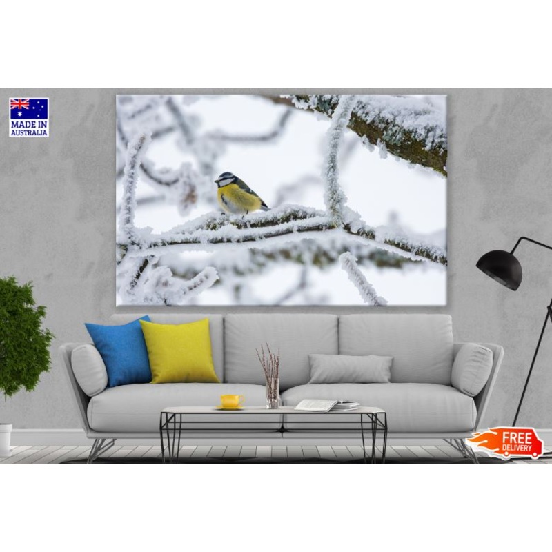 Bird on Frozen Tree Photograph Print 100% Australian Made