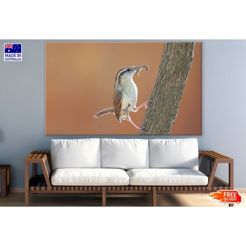 Bird with a Worm Photograph Print 100% Australian Made