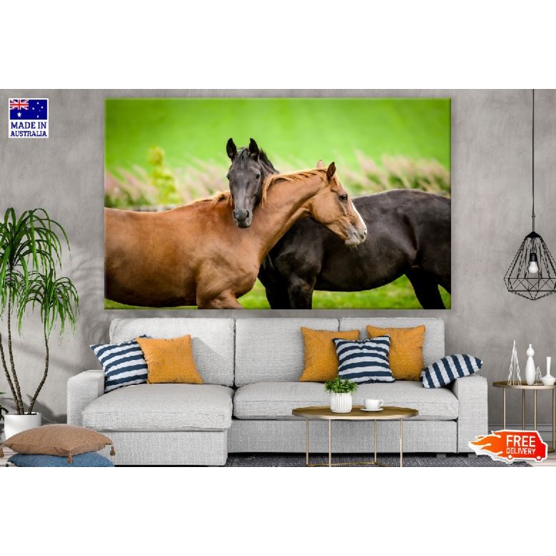 Black & Brown Horses Photograph Print 100% Australian Made