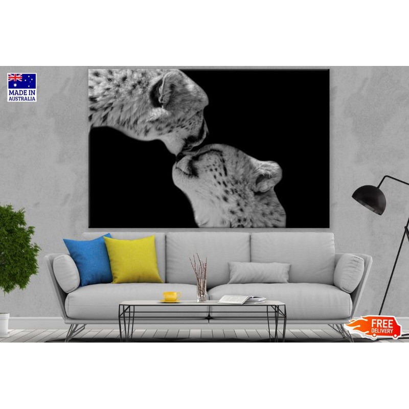 Cheetah Couple Portrait B&W Photograph Print 100% Australian Made