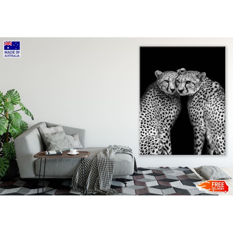 Cheetah Pair Portrait B&W Photograph Print 100% Australian Made