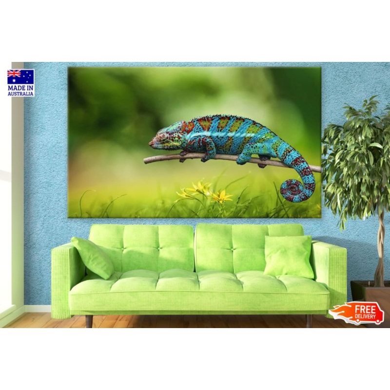 Colorful Chameleon Closeup Photograph Print 100% Australian Made