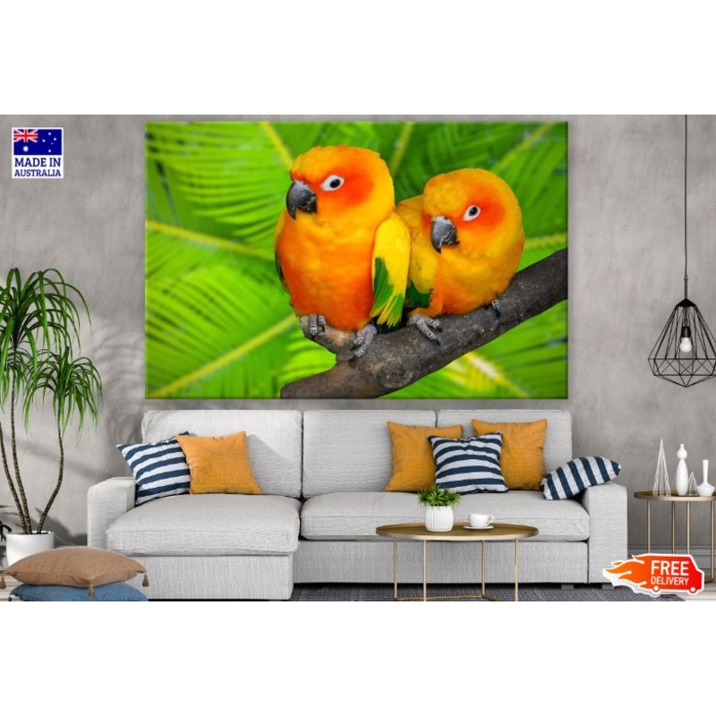 Colorful Parrots Photograph Print 100% Australian Made