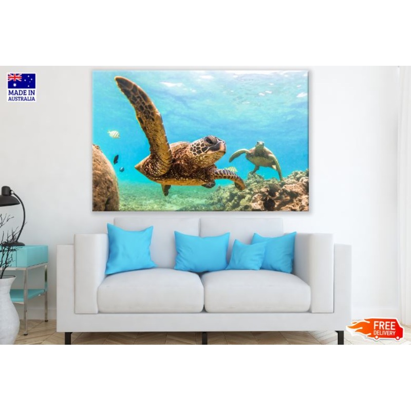 Sea Turtles Swimming Scenery Photograph Print 100% Australian Made