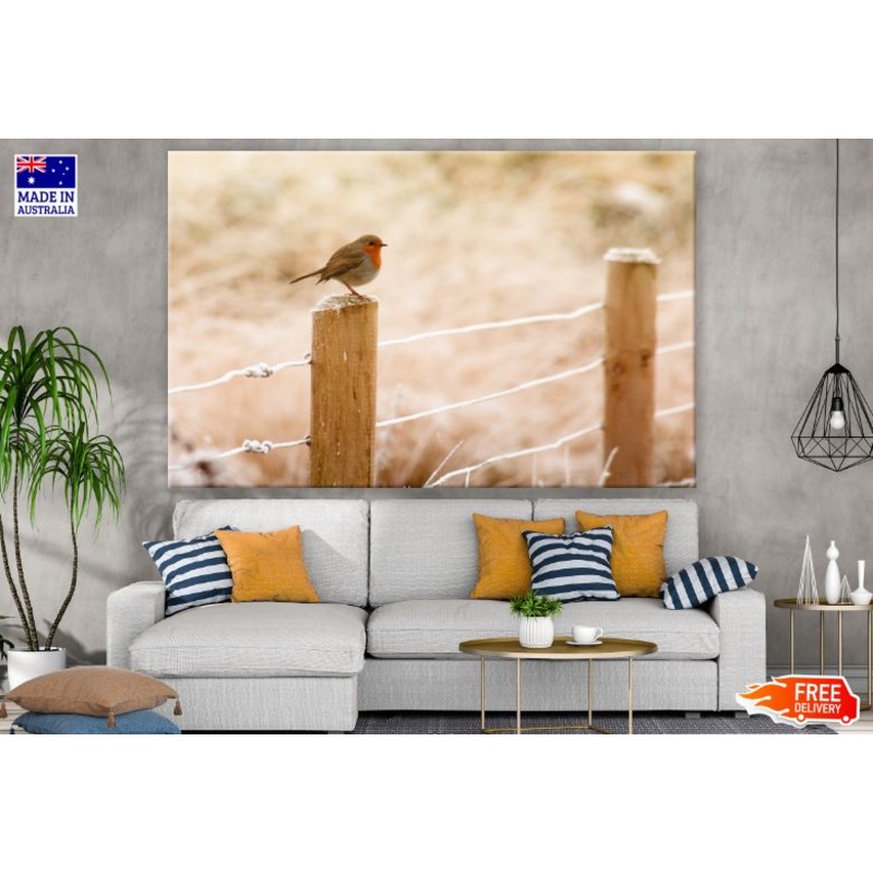 Small Bird on a Fence Photograph Print 100% Australian Made