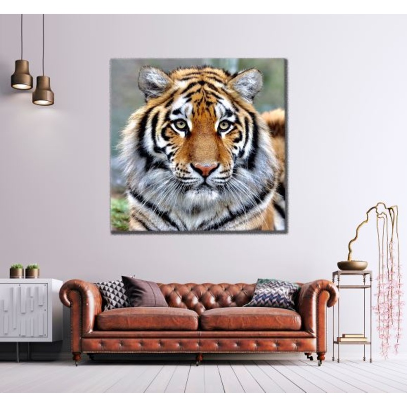 Square Canvas Beautiful Tiger Portrait High Quality Print 100% Australian Made