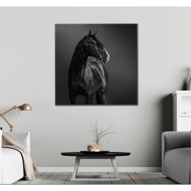 Square Canvas Black Horse B&W Photograph High Quality Print 100% Australian Made