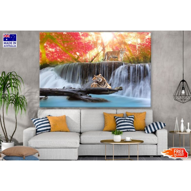 Tigers on Waterfall Scenery Photograph Print 100% Australian Made