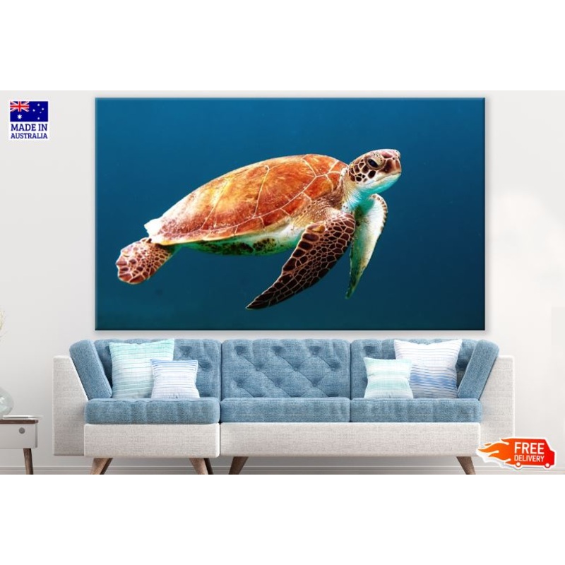 Turtle Underwater Photograph Print 100% Australian Made