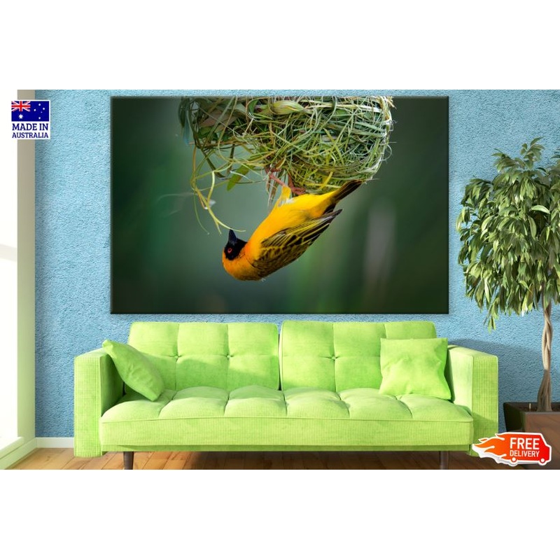 Yellow Bird Making a Nest Photograph Print 100% Australian Made