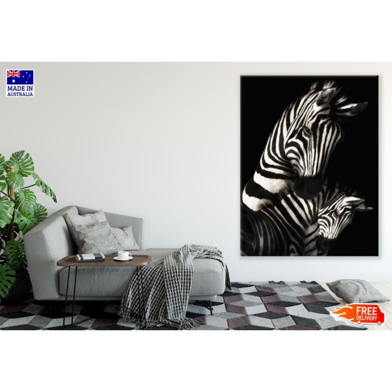 Zebra & Baby Colt B&W Photograph Print 100% Australian Made