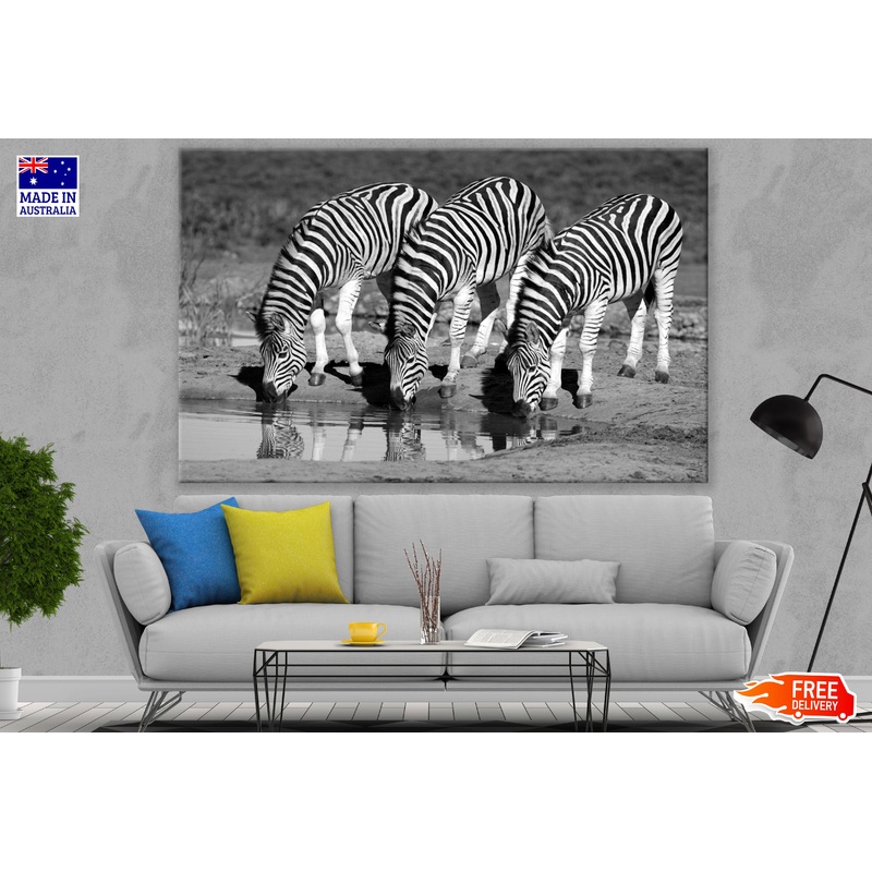 Zebras Drinking Water B&W Photograph Print 100% Australian Made