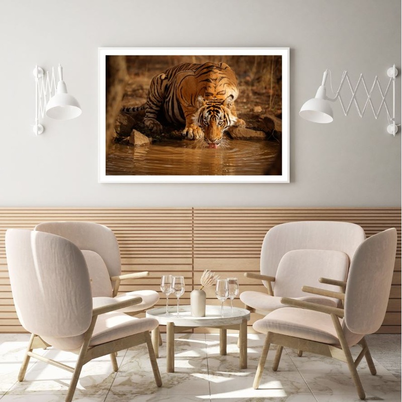 Tiger Drinking Water from a River Photograph Home Decor Premium Quality Poster Print Choose Your Sizes