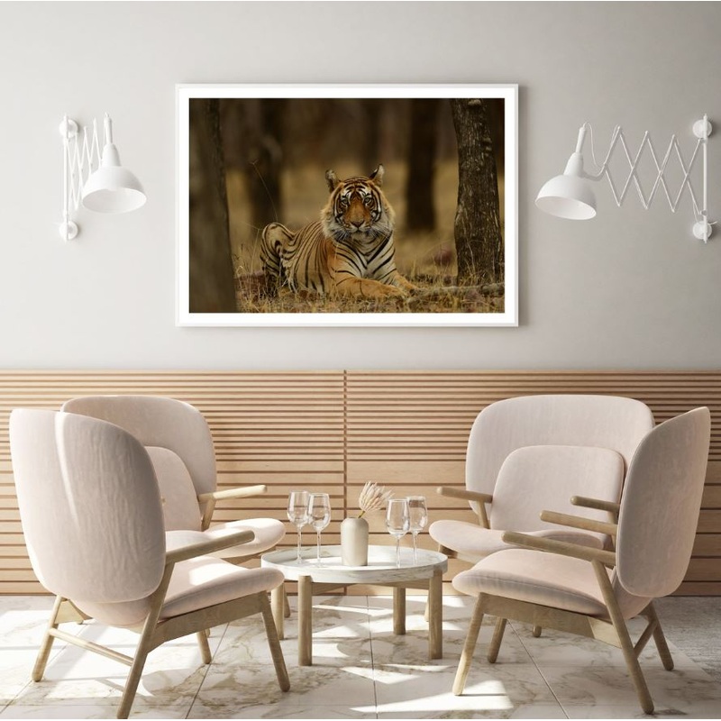 Tiger in Forest Photograph Home Decor Premium Quality Poster Print Choose Your Sizes