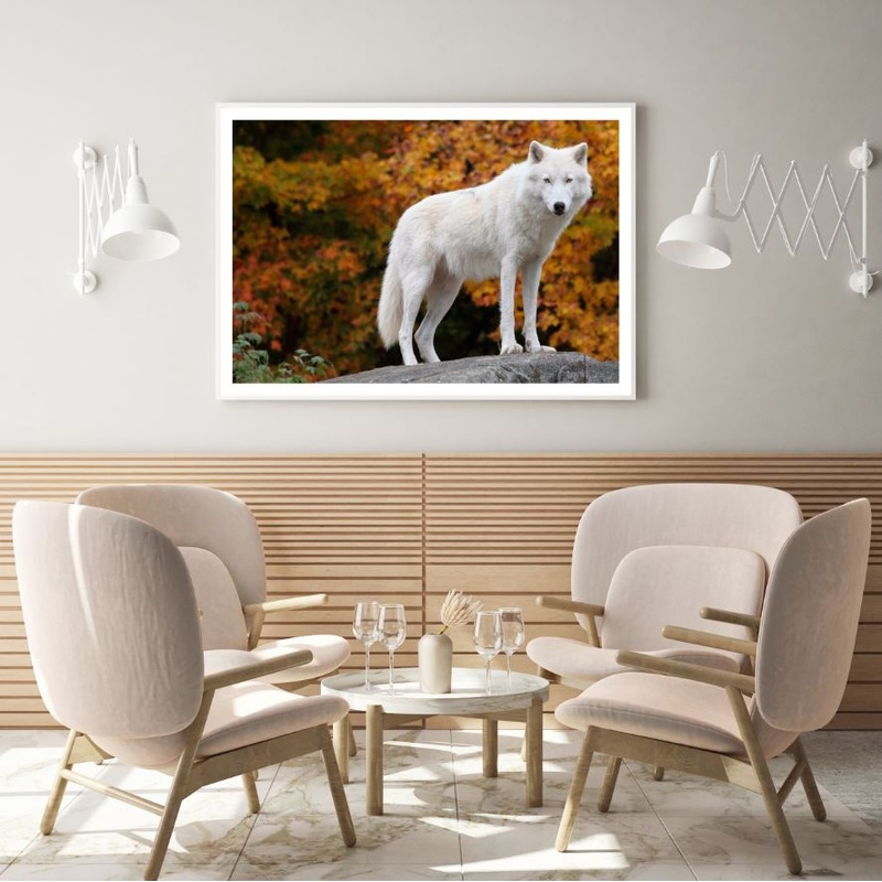 White Dog in Forest Photograph Home Decor Premium Quality Poster Print Choose Your Sizes