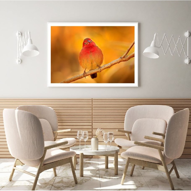 Bird on Tree Closeup Photograph Home Decor Premium Quality Poster Print Choose Your Sizes