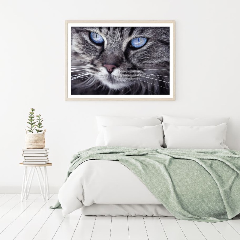 Cat with Blue Eyes Photograph Home Decor Premium Quality Poster Print Choose Your Sizes