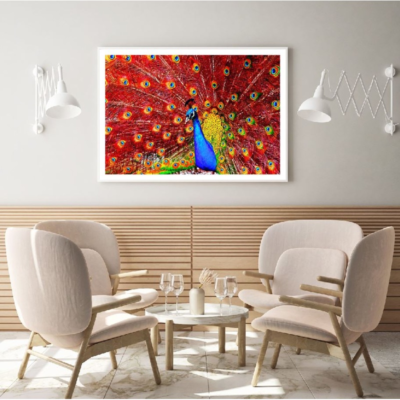 Colorful Peacock Close Photograph Home Decor Premium Quality Poster Print Choose Your Sizes