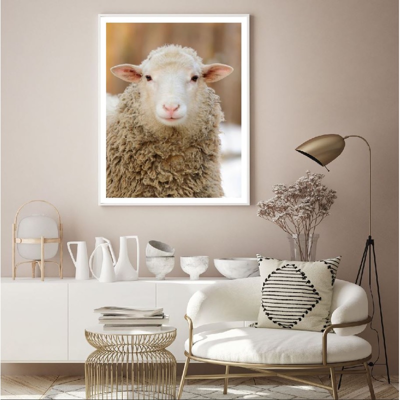Sheep Face Portrait Photograph Home Decor Premium Quality Poster Print Choose Your Sizes
