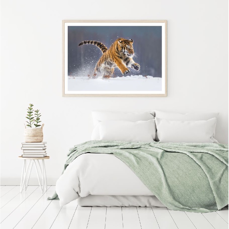 Tiger Running on Snow Photograph Home Decor Premium Quality Poster Print Choose Your Sizes