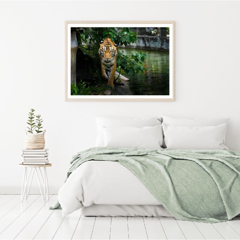 Tiger Walking Along River Scenery Home Decor Premium Quality Poster Print Choose Your Sizes