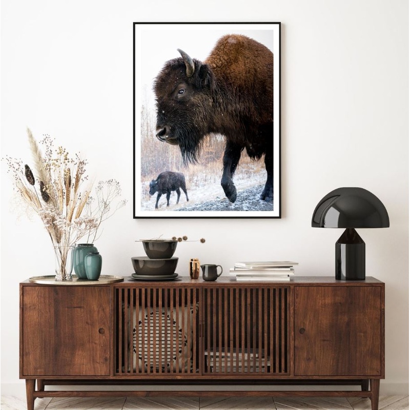 Bison Cows Portrait Photograph Home Decor Premium Quality Poster Print Choose Your Sizes