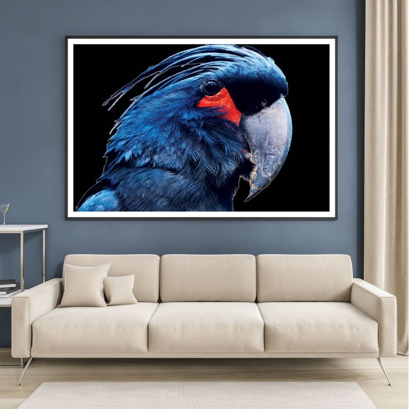 Blue Macaw Bird Portrait Photograph Home Decor Premium Quality Poster Print Choose Your Sizes