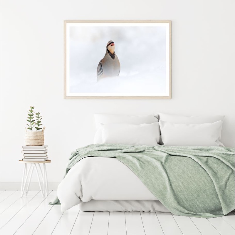 Small Bird On Snow Photograph Home Decor Premium Quality Poster Print Choose Your Sizes