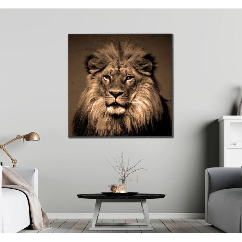 Square Canvas Lion Portrait Photograph High Quality Print 100% Australian Made