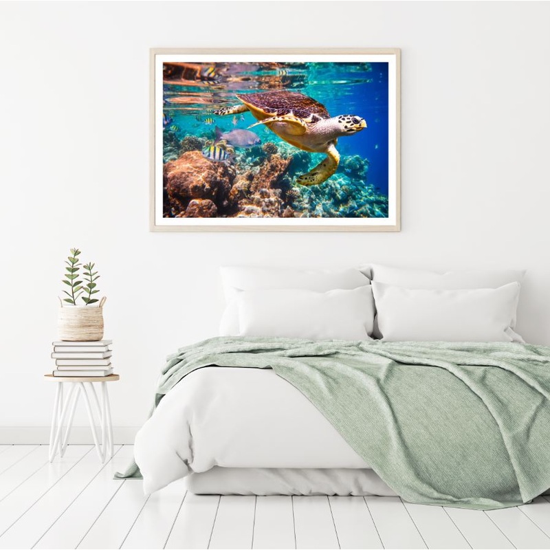 Turtle Underwater Sea Scenery Photograph Home Decor Premium Quality Poster Print Choose Your Sizes