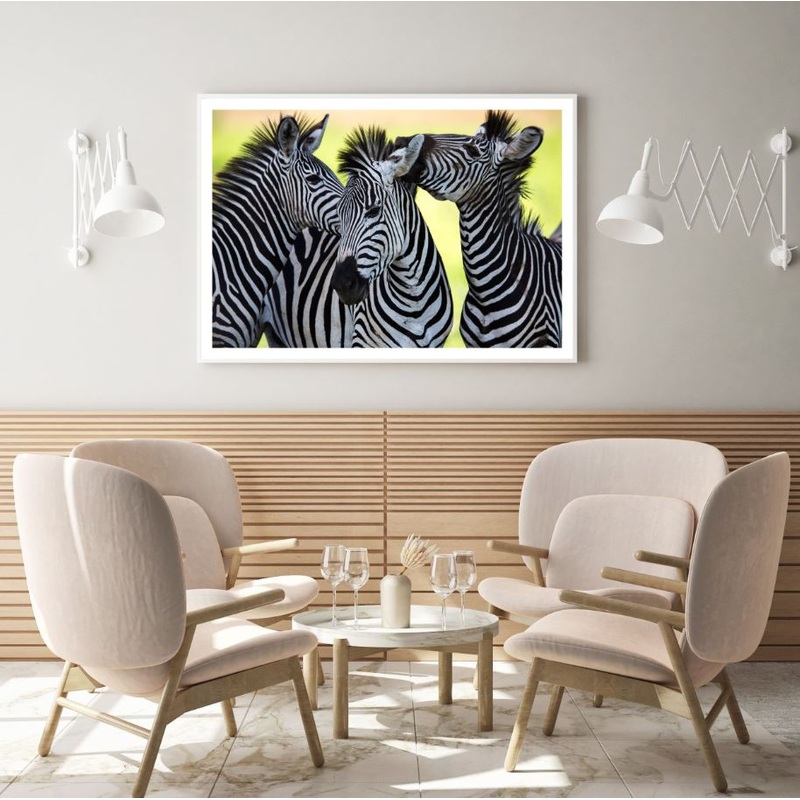 Zebras Potrait Photograph Home Decor Premium Quality Poster Print Choose Your Sizes