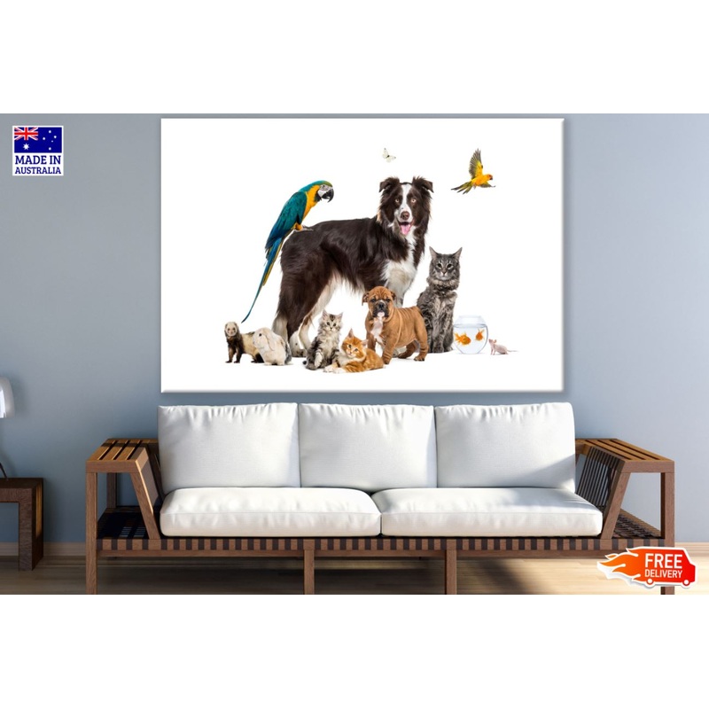 Animals Closeup Photograph Print 100% Australian Made