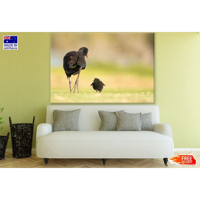 Bird & Baby Walking Print 100% Australian Made