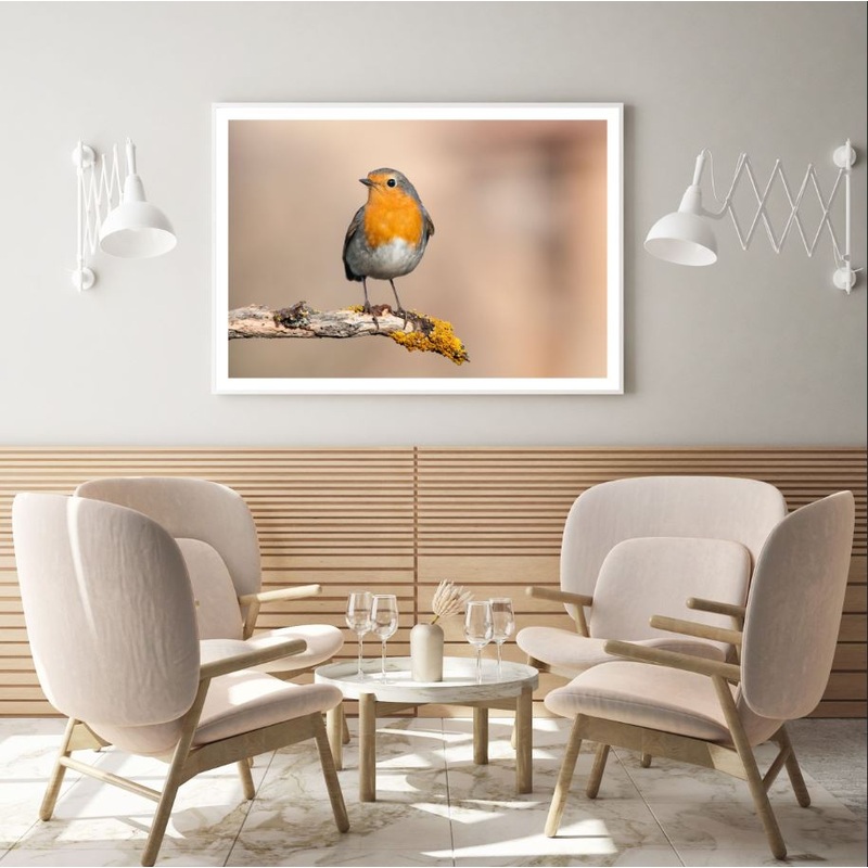 Bird Closeup Photograph Home Decor Premium Quality Poster Print Choose Your Sizes