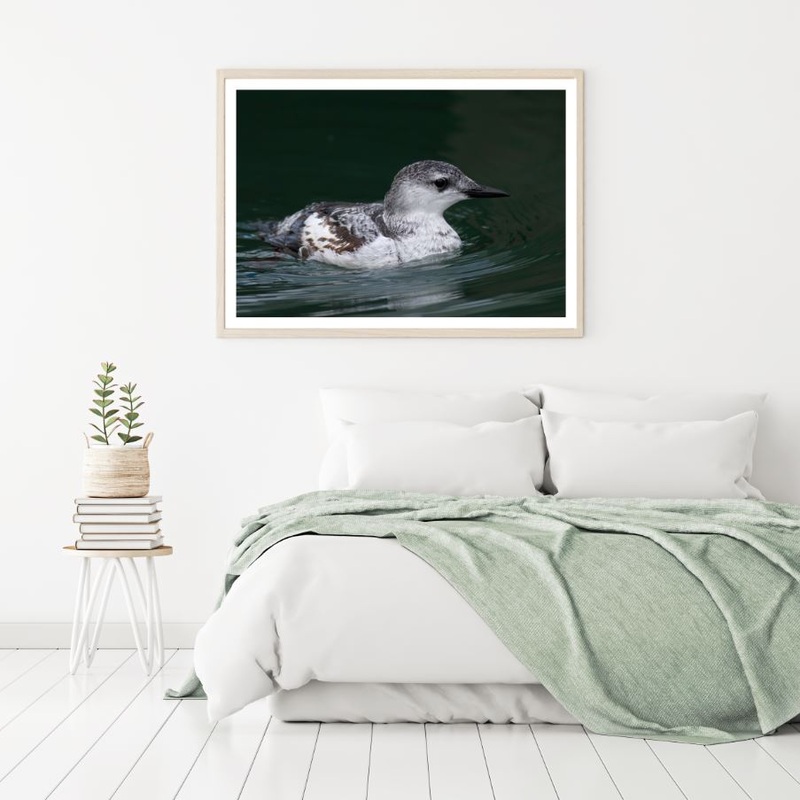 Bird on Water Photograph Home Decor Premium Quality Poster Print Choose Your Sizes