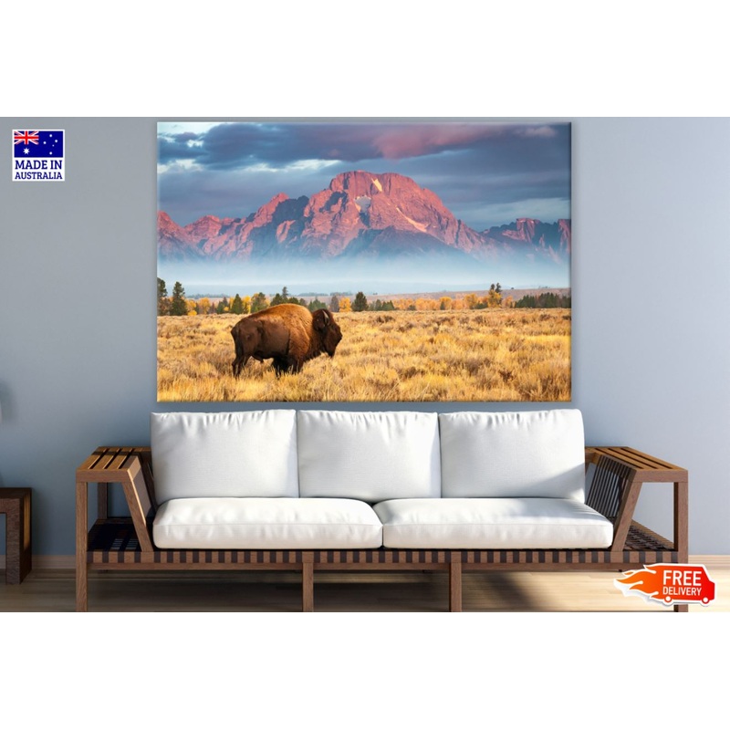 Bison on Field Near Mountain Print 100% Australian Made