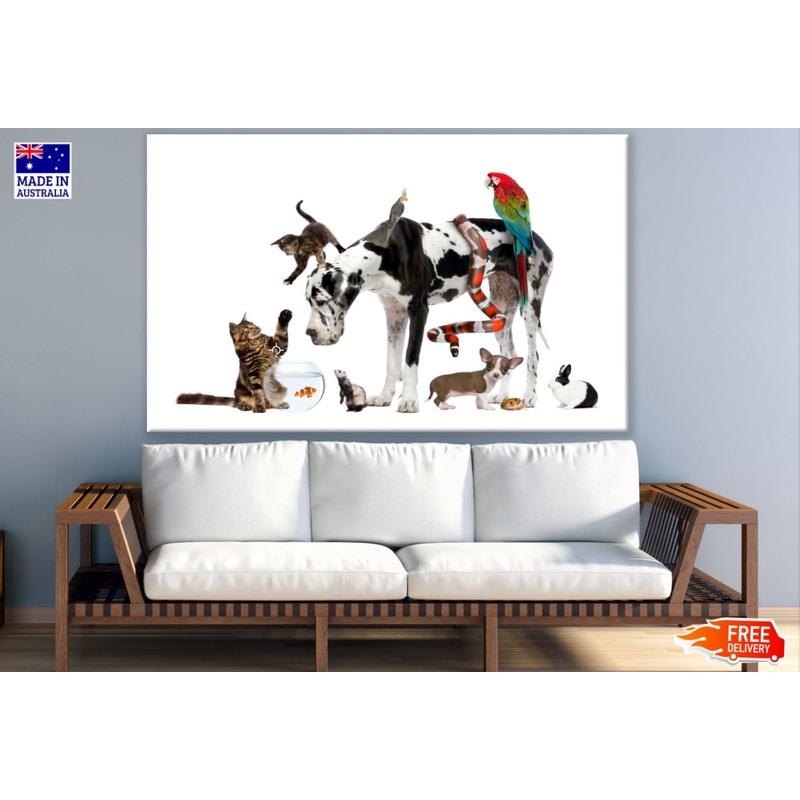 Colorful Animals Photograph Print 100% Australian Made